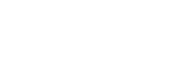 The Verge
